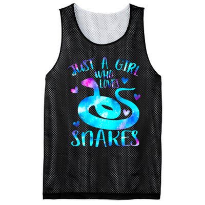 Just A Girl Who Loves Snakes Theme Cute Snake Lover Galaxy Cute Gift Mesh Reversible Basketball Jersey Tank