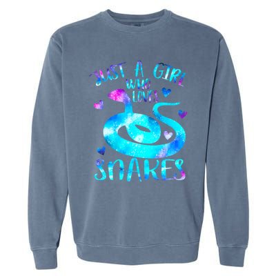 Just A Girl Who Loves Snakes Theme Cute Snake Lover Galaxy Cute Gift Garment-Dyed Sweatshirt