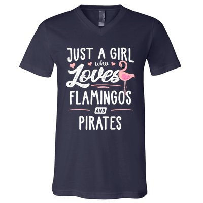 Just A Girl Who Loves Flamingos And Pirates Gift Flamingo V-Neck T-Shirt