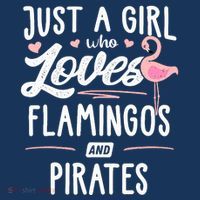 Just A Girl Who Loves Flamingos And Pirates Gift Flamingo Premium T-Shirt