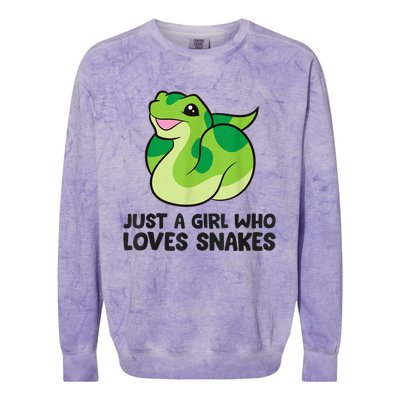 Just A Girl Who Loves Snakes Cute Snake Colorblast Crewneck Sweatshirt