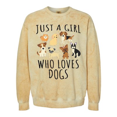 Just A Girl Who Loves Dogs Funny Puppy Colorblast Crewneck Sweatshirt