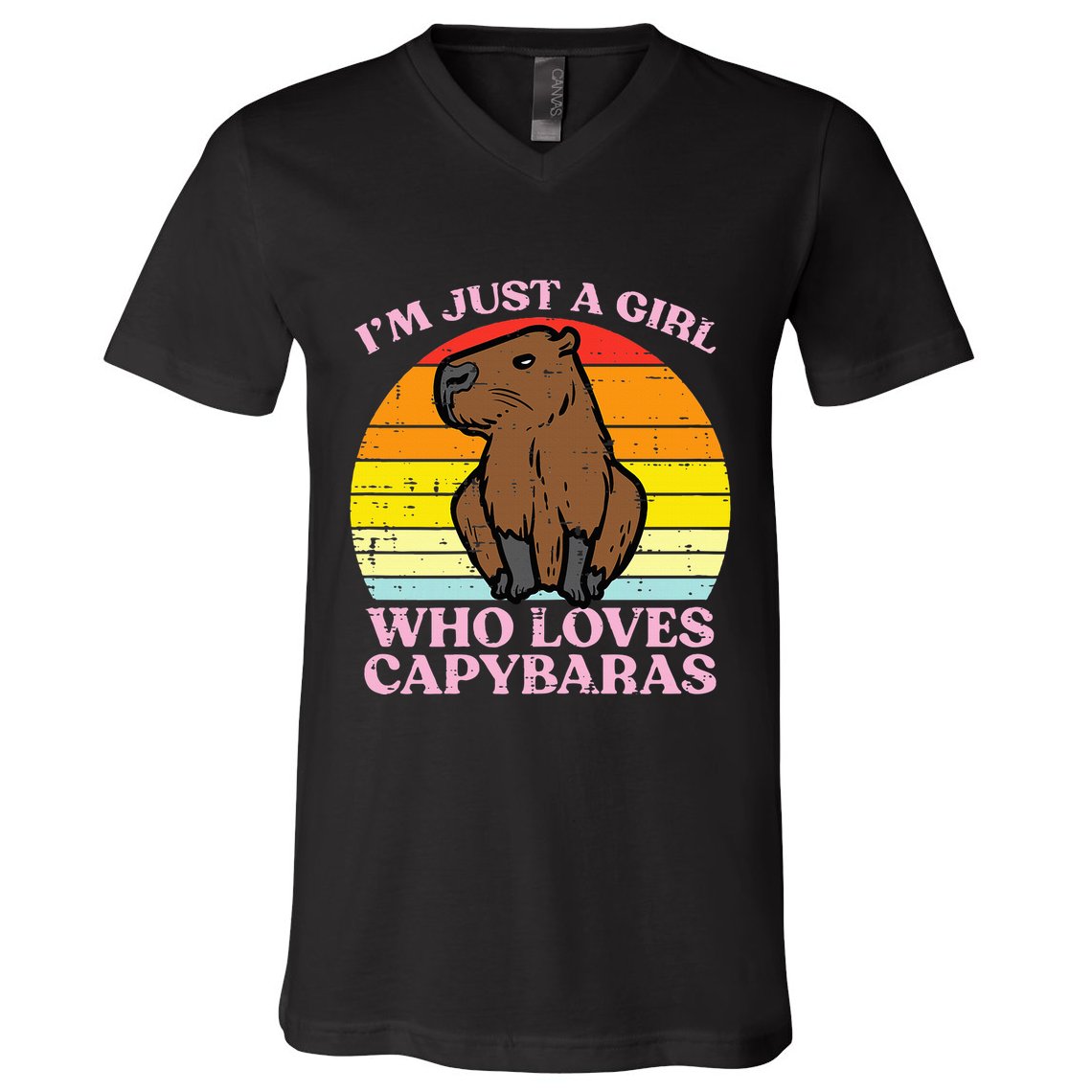 Just A Girl Who Loves Capybaras Retro Capy Rodent V-Neck T-Shirt