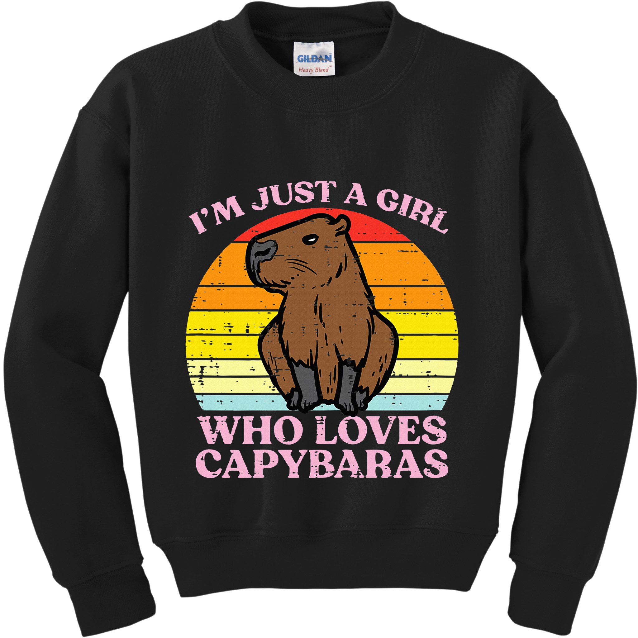 Just A Girl Who Loves Capybaras Retro Capy Rodent Kids Sweatshirt