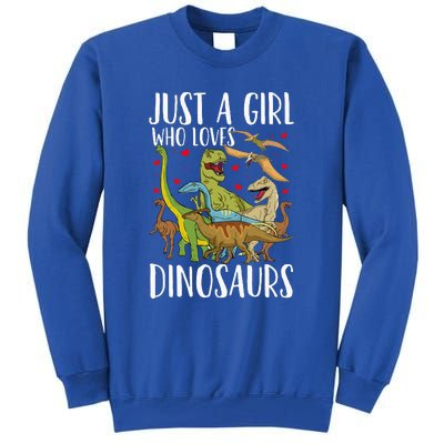 Just A Girl Who Loves Dinosaurs Brachiosaurus Tall Sweatshirt