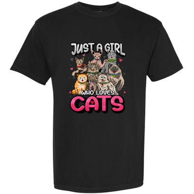 Just A Girl Who Loves Cats Cute Cat Lover Cat Mom Garment-Dyed Heavyweight T-Shirt