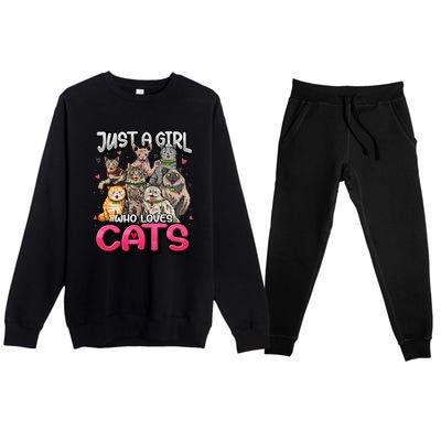 Just A Girl Who Loves Cats Cute Cat Lover Cat Mom Premium Crewneck Sweatsuit Set