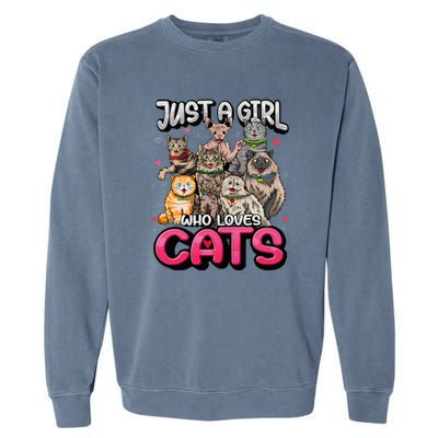 Just A Girl Who Loves Cats Cute Cat Lover Cat Mom Garment-Dyed Sweatshirt