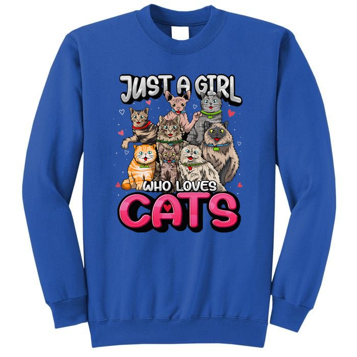 Just A Girl Who Loves Cats Cute Cat Lover Cat Mom Sweatshirt