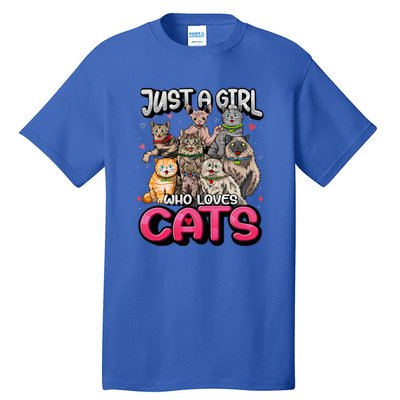 Just A Girl Who Loves Cats Cute Cat Lover Cat Mom Tall T-Shirt