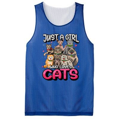 Just A Girl Who Loves Cats Cute Cat Lover Cat Mom Mesh Reversible Basketball Jersey Tank