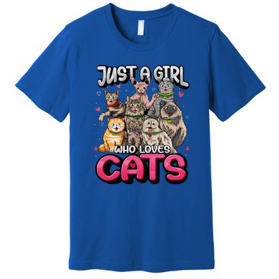 Just A Girl Who Loves Cats Cute Cat Lover Cat Mom Premium T-Shirt