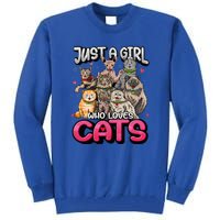 Just A Girl Who Loves Cats Cute Cat Lover Cat Mom Tall Sweatshirt