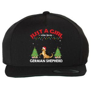 Just A Girl Who Loves Ger Shepherd Dog Ugly Xmas Sweater Gift Wool Snapback Cap