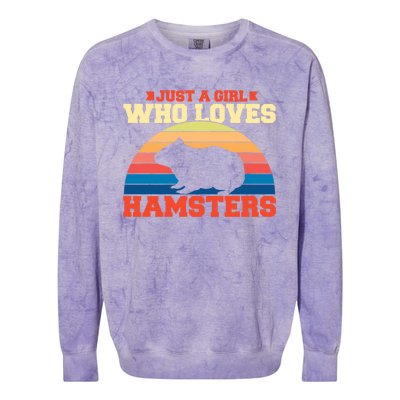 Just A Girl Who Loves Hamsters Gift Colorblast Crewneck Sweatshirt