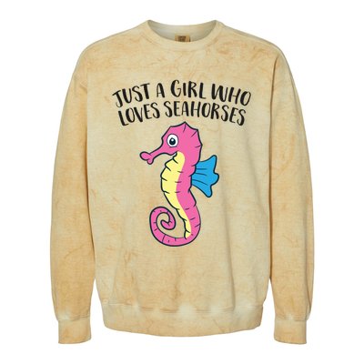 Just A Girl Who Loves Seahorses Funny Seahorse Lover Girl Gift Colorblast Crewneck Sweatshirt