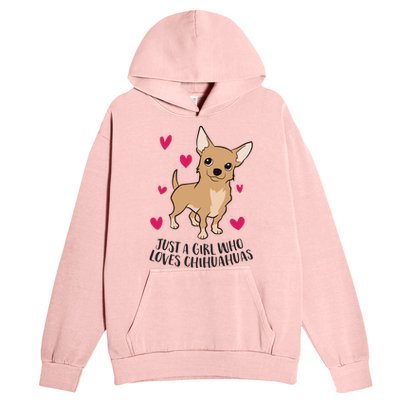 Just A Girl Who Loves Chihuahuas Cute Chihuahua Girl Gift Urban Pullover Hoodie