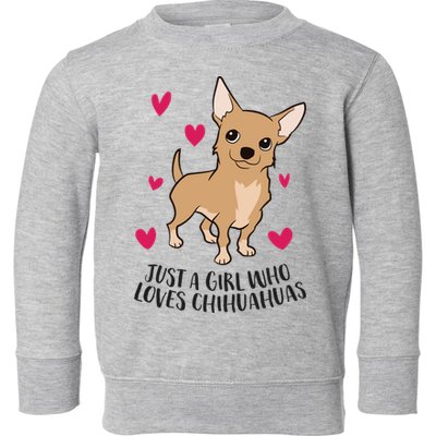 Just A Girl Who Loves Chihuahuas Cute Chihuahua Girl Gift Toddler Sweatshirt