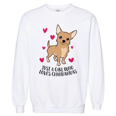 Just A Girl Who Loves Chihuahuas Cute Chihuahua Girl Gift Garment-Dyed Sweatshirt