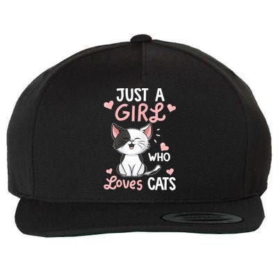 Just A Girl Who Loves Cats Tshirt Cute Cat Lover Wool Snapback Cap