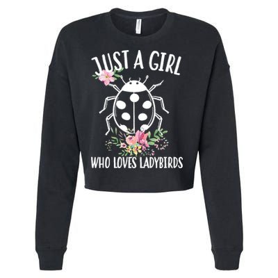 Just A Girl Who Loves Ladybugs Cropped Pullover Crew