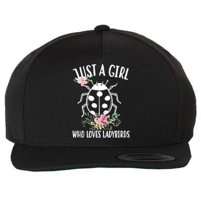 Just A Girl Who Loves Ladybugs Wool Snapback Cap