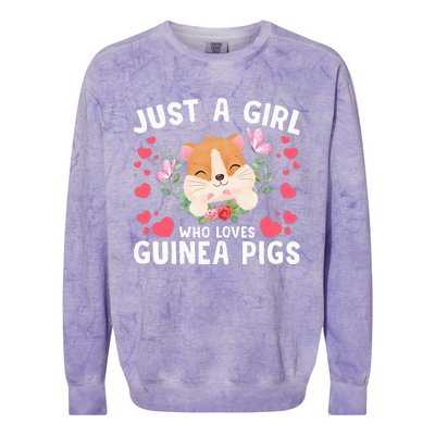 Just A Girl Who Loves Guinea Pigs Cute  Colorblast Crewneck Sweatshirt