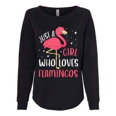 Just A Girl Who Likes Flamingos Womens California Wash Sweatshirt