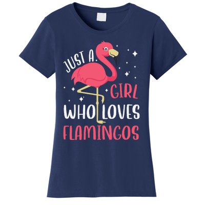 Just A Girl Who Likes Flamingos Women's T-Shirt