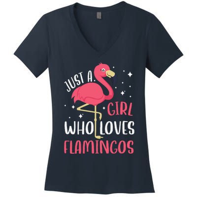 Just A Girl Who Likes Flamingos Women's V-Neck T-Shirt