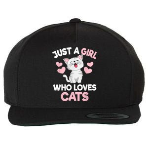 Just A Girl Who Loves Cats Cat Lover Cute Cat Kitty Wool Snapback Cap