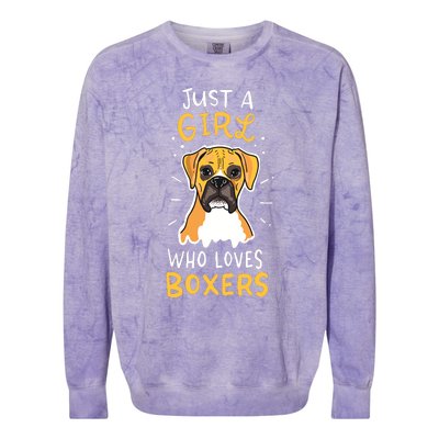 Just A Girl Who Loves Boxers Dog School Gift Colorblast Crewneck Sweatshirt