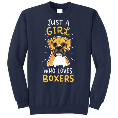 Just A Girl Who Loves Boxers Dog School Gift Sweatshirt