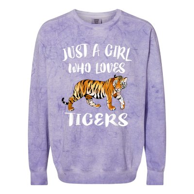 Just A Girl Who Loves Tigers Tiger Animal Lover Gift Colorblast Crewneck Sweatshirt