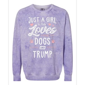 Just A Girl Who Loves Dogs And Trump Gift Dog Lover Colorblast Crewneck Sweatshirt