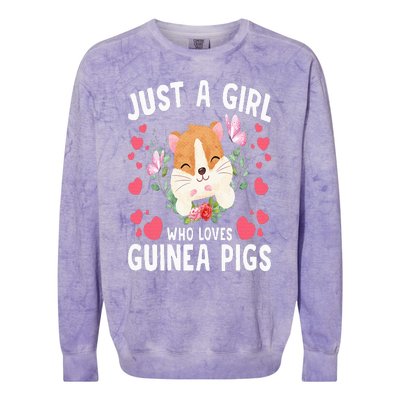 Just A Girl Who Loves Guinea Pigs Cute Guinea Pig Colorblast Crewneck Sweatshirt