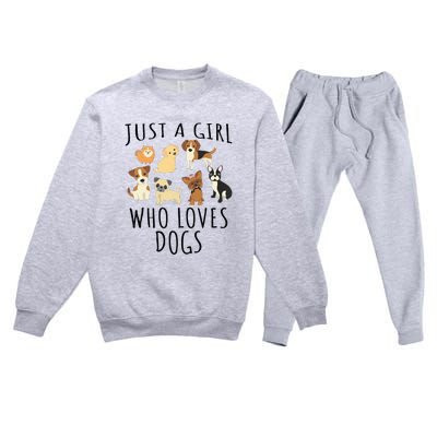 Just A Girl Who Loves Dogs Funny Puppy Premium Crewneck Sweatsuit Set