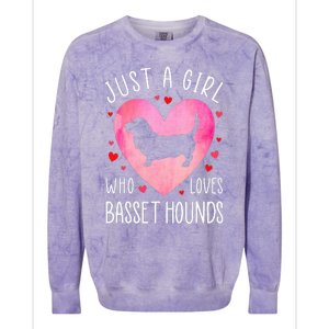 Just a Girl Who Loves Basset Hounds Dog Mama Pet Lover Colorblast Crewneck Sweatshirt