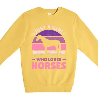 Just A Girl Who Loves Horses Women Horse Stuff Horse Lovers Premium Crewneck Sweatshirt