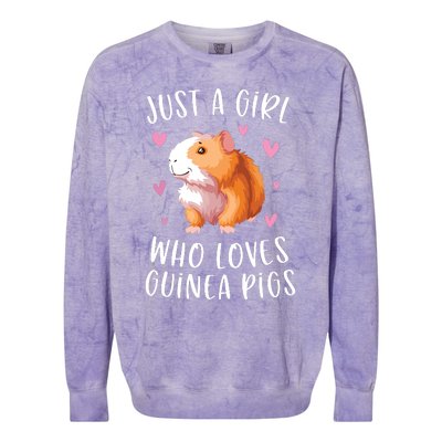 Just A Girl Who Loves Guinea Pigs Funny Cavy Gifts For Girl Colorblast Crewneck Sweatshirt