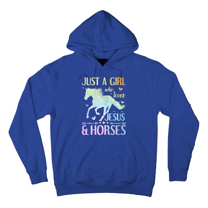 Jesus And Horses Horse Gifts Hoodie