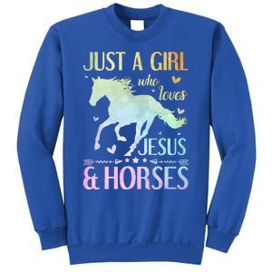 Jesus And Horses Horse Gifts Sweatshirt