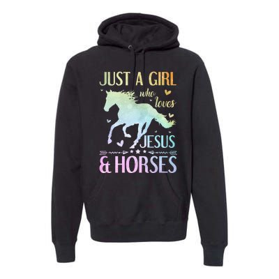 Jesus And Horses Horse Gifts horse lovers Premium Hoodie