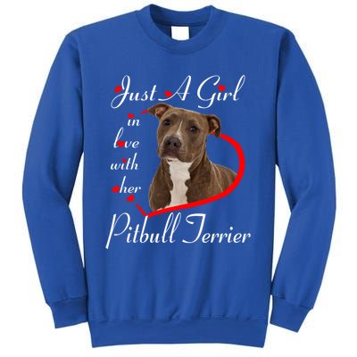 Just A In Love With Her Pitbull Terrier Valentines Day Cute Gift Sweatshirt