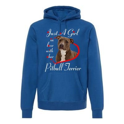 Just A In Love With Her Pitbull Terrier Valentines Day Cute Gift Premium Hoodie