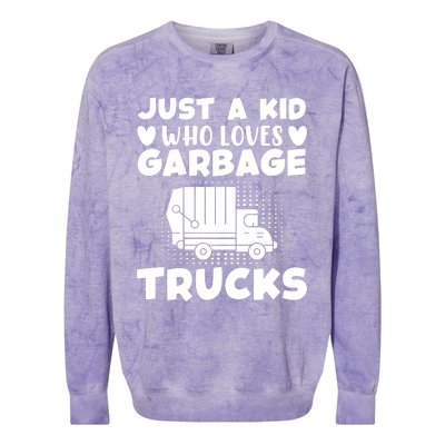 Just A Kid Who Loves Garbage Trucks Graphic Colorblast Crewneck Sweatshirt