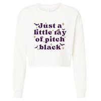 Just A Little Ray Of Pitch Black Funny Sarcasm Cropped Pullover Crew