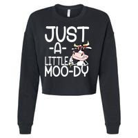 Just A Little Moody Cropped Pullover Crew