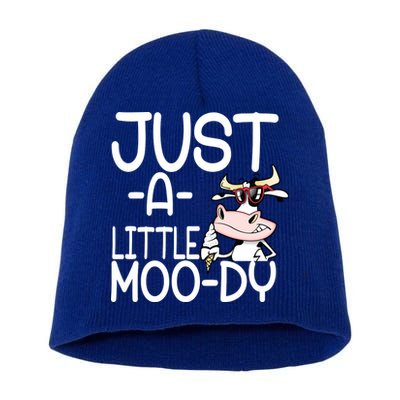 Just A Little Moody Short Acrylic Beanie