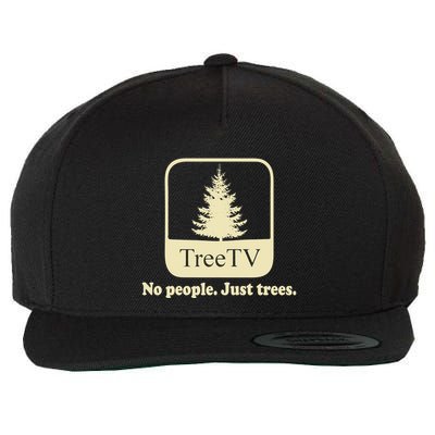 Joeperadesign A Name! Wool Snapback Cap